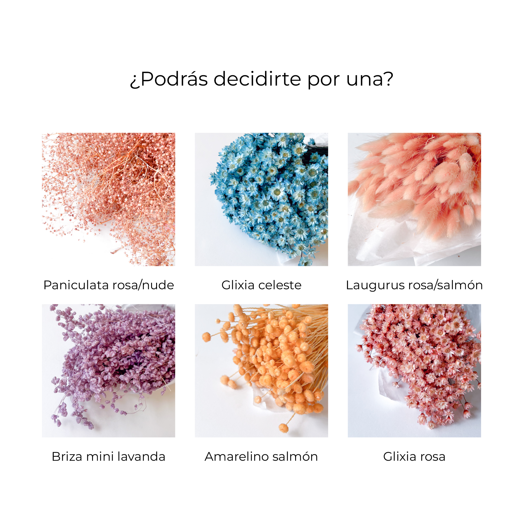 flores-coleccion-eternidad