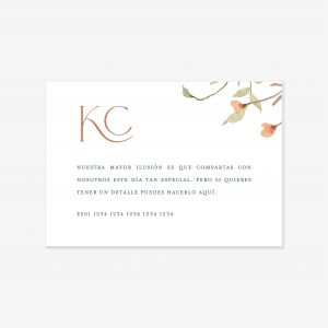 Tarjeta número de cuenta Amelia